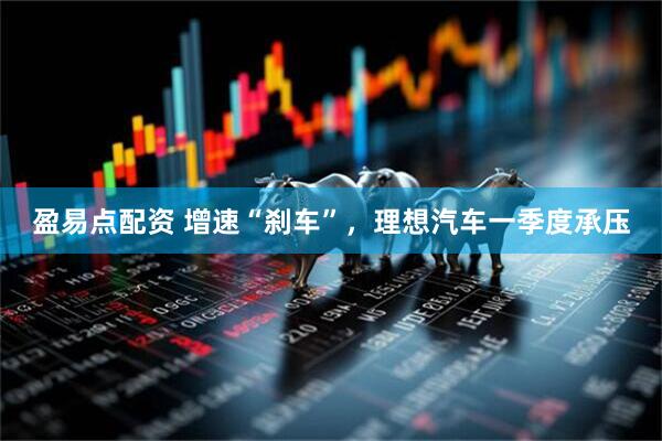 盈易点配资 增速“刹车”，理想汽车一季度承压