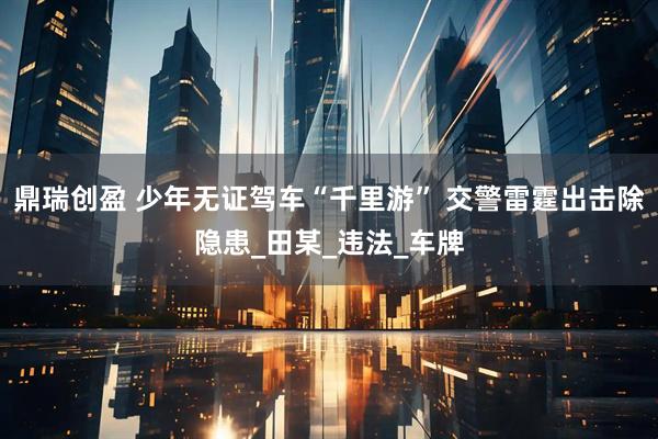 鼎瑞创盈 少年无证驾车“千里游” 交警雷霆出击除隐患_田某_违法_车牌