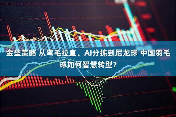 金垒策略 从弯毛拉直、AI分拣到尼龙球 中国羽毛球如何智慧转型？